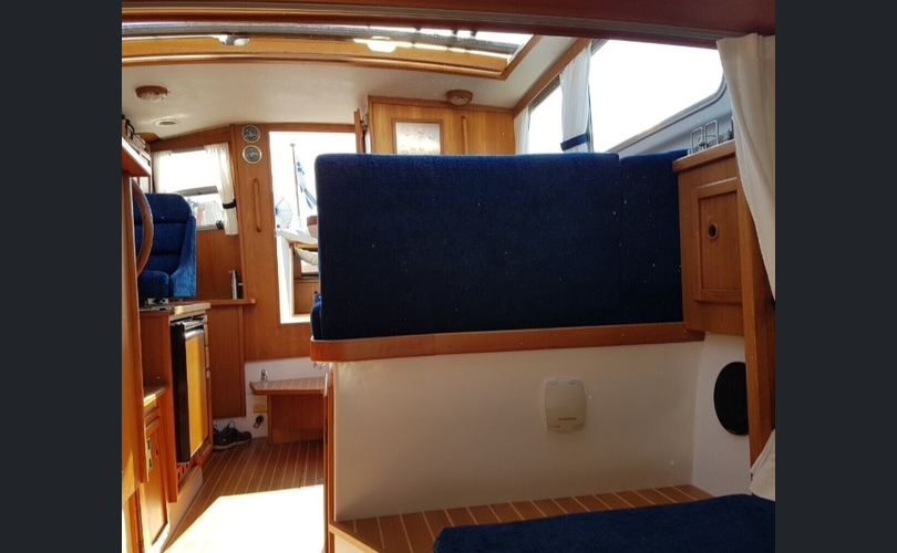 Albatross Flying 871-kuva-9